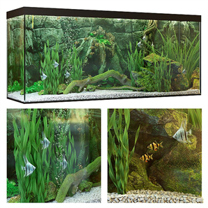 Aquarium